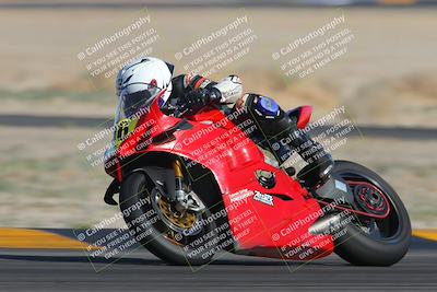 media/Feb-04-2023-SoCal Trackdays (Sat) [[8a776bf2c3]]/Turn 4 (Tree of Life 2pm)/